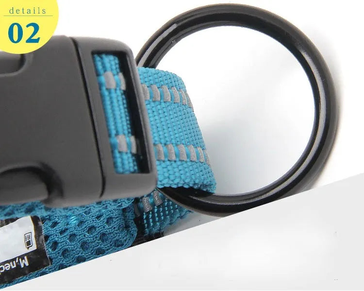 Heavy Duty Adjustable Nylon Dog Collar