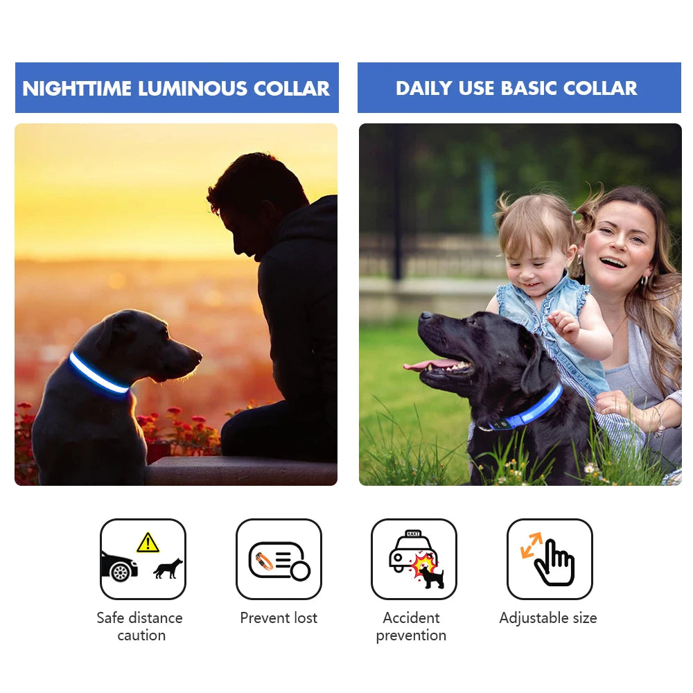 Luminous Waterproof Dog Collar