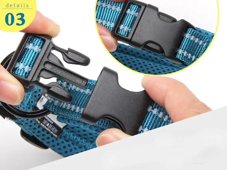 Heavy Duty Adjustable Nylon Dog Collar