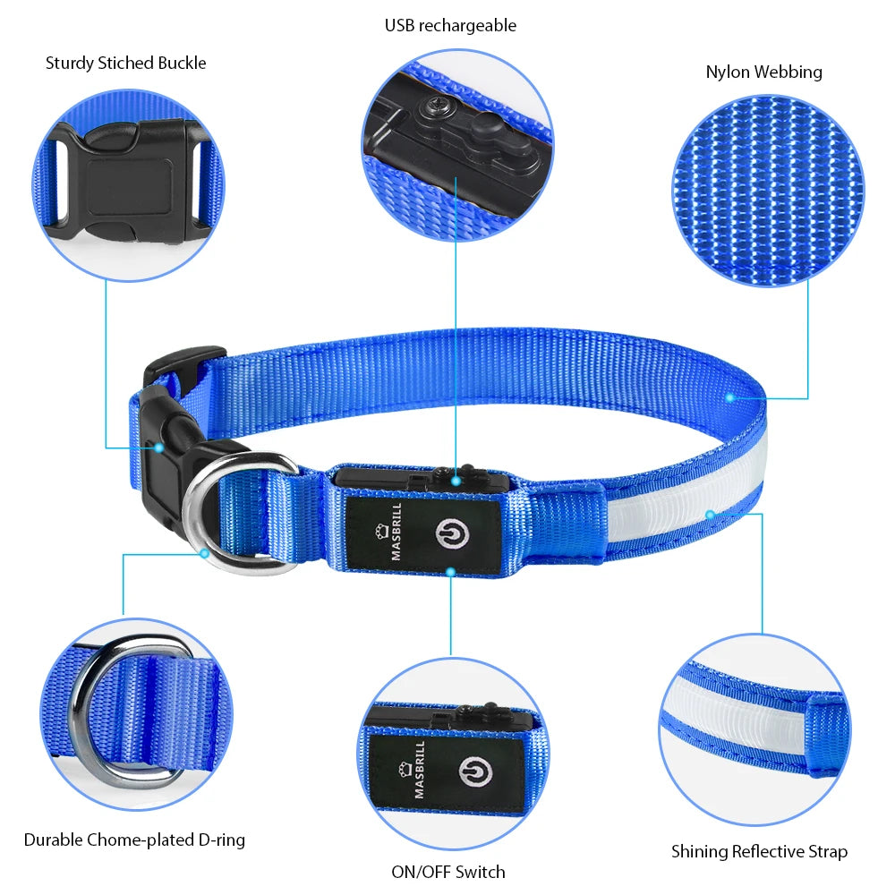 Luminous Waterproof Dog Collar