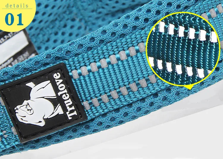 Heavy Duty Adjustable Nylon Dog Collar