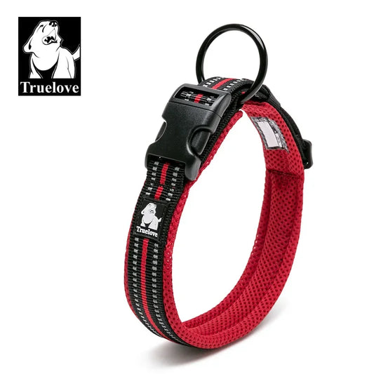 Heavy Duty Adjustable Nylon Dog Collar