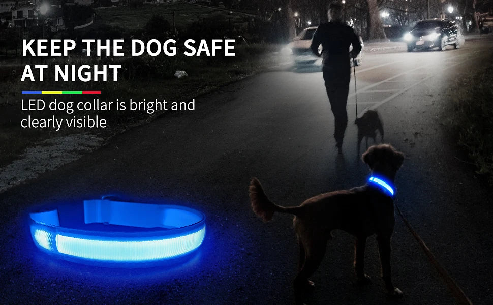 Luminous Waterproof Dog Collar