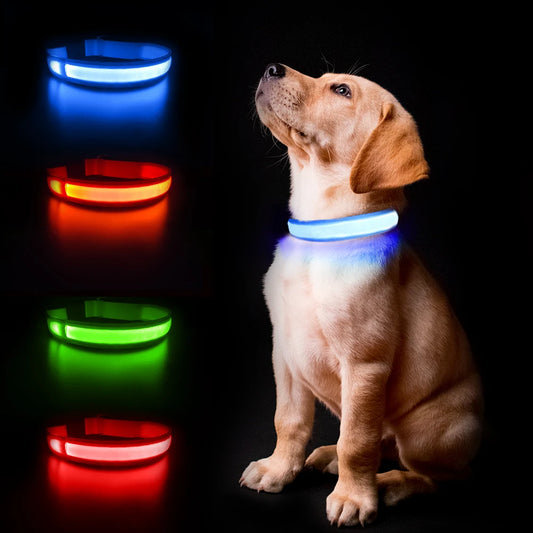 Luminous Waterproof Dog Collar