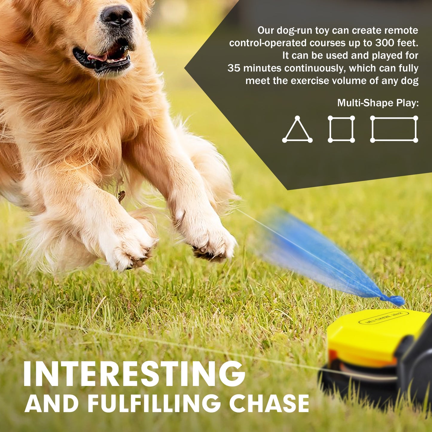 Interactive Dog Toys, Lure Course Machine, Agility Training.