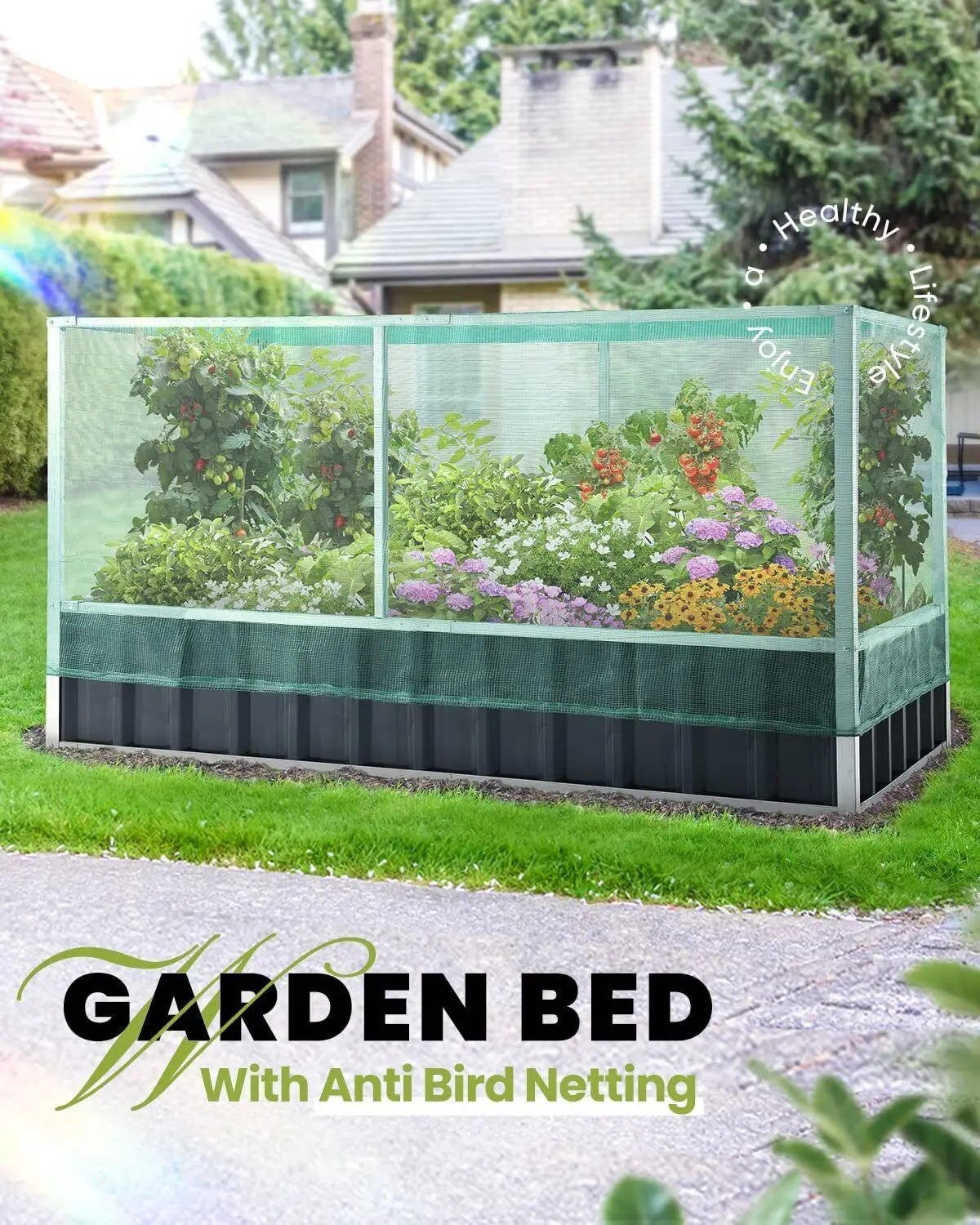 Raised Bed with Anti Bird Protection Netting