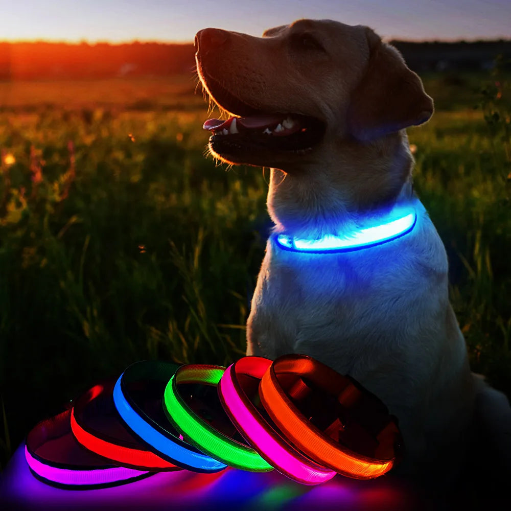 Luminous Waterproof Dog Collar